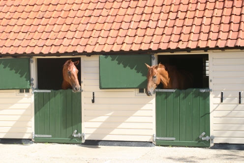 Livery Yard